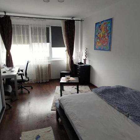 Studio Leo Iasi Eksteriør billede